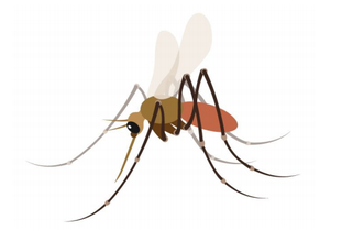 Image source: Unicode.org